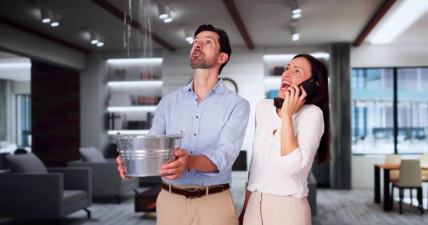 Reliable Normal, IL Water damage restoration Solutions